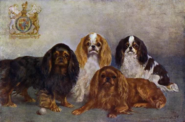 King Charles Spaniels